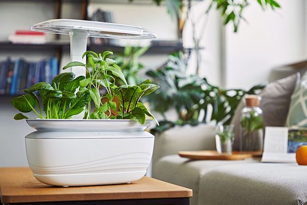 Bosch SmartGrow Life: indoor gardening to awake interest