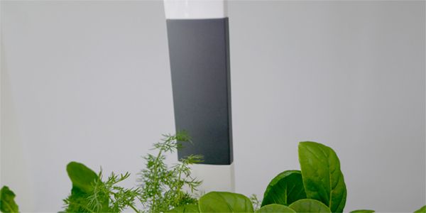 Bosch SmartGrow Life Indoor Gardening: personalisierte Designer-Clips