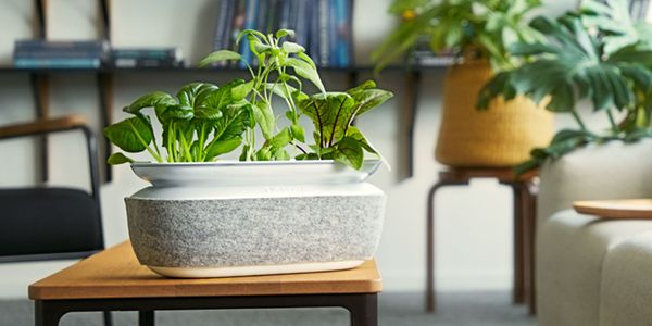 Bosch SmartGrow Life: Design-Hüllen für Ihren Indoor-Garten