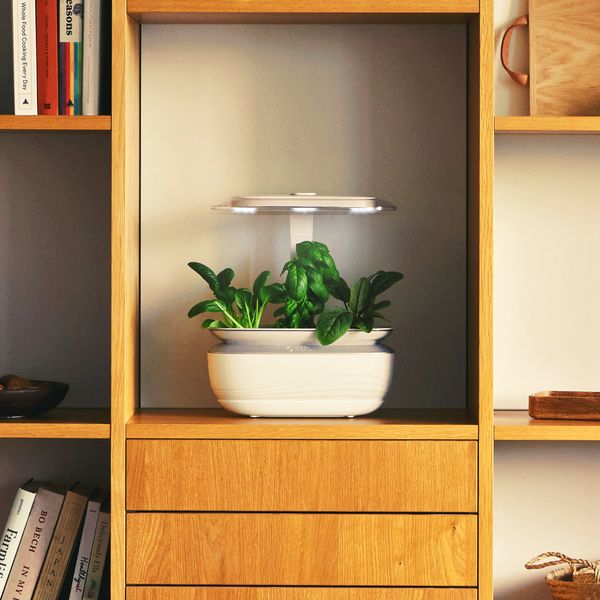 Bosch SmartGrow Life: modulares Design für Ihren Indoor-Garten zum Anbau frischer Zutaten Ihrer Wahl