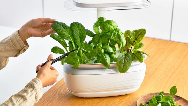 Bosch SmartGrow Life: Anpassungsoptionen für Ihren Indoor-Garten