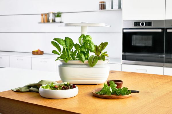 Bosch SmartGrow Life indoor gardening: fresh herbs