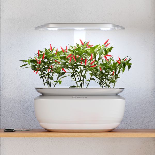 Bosch SmartGrow Life: Inspirational indoor gardening