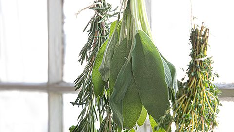 SmartGrow: A fresh take on preserving herbs