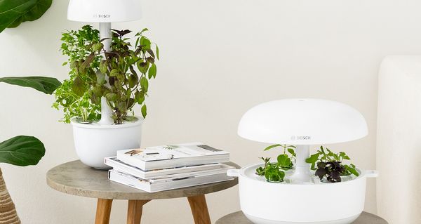 Bosch SmartGrow Indoor Garten