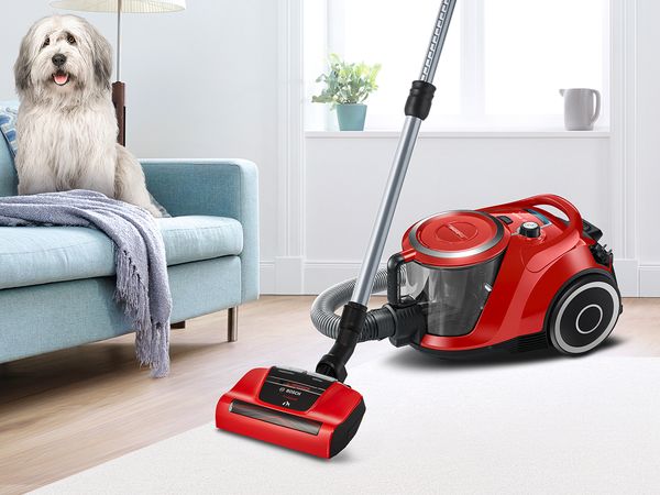 Bosch ProAnimal bagged vacuum on beige carpet, shaggy dog on sofa 