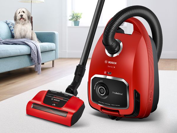  A cat stands in front of a cordless vacuum that sucks away cat hair.