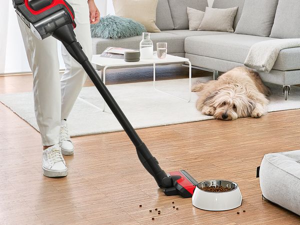 Μια ασύρματη ηλεκτρική σκούπα Unlimited ProAnimal καθαρίζει τα υπολείμματα τροφής σκύλου δίπλα σε έναν μαλλιαρό σκύλο