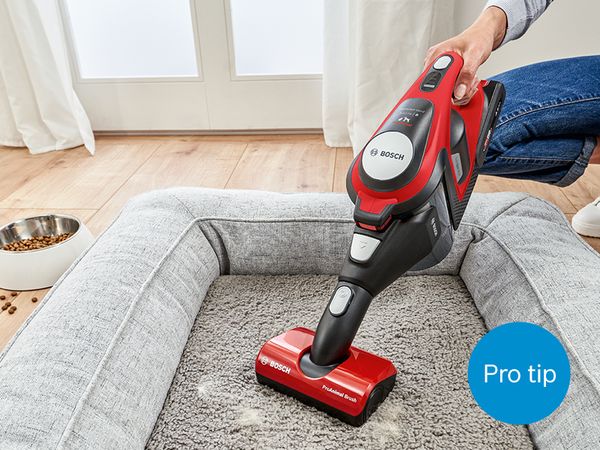 Person using Unlimited ProAnimal cordless vacuum as handheld to vacuum dog's bed
