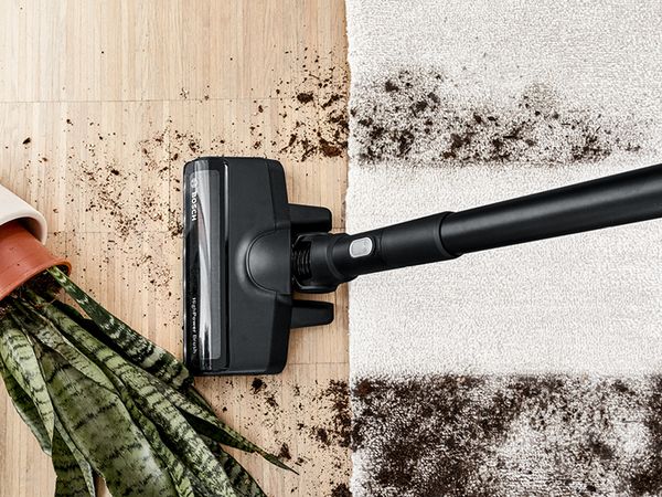 Fallen plant spilled dirt on wood floor and beige carpet, Unlimited vacuuming up the mess 