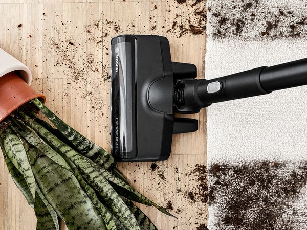 Fallen plant spilled dirt on wood floor and beige carpet, Bosch vacuum cleaning up the mess 