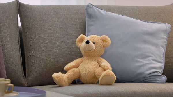 Video showing how to refresh pillows, cushions, teddy bear  with FreshUp