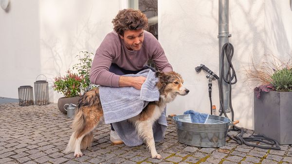 Uomo che asciuga il suo cane bagnato con un asciugamano, fuori da una casa
