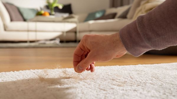 A man picks some animal hair from a carpet