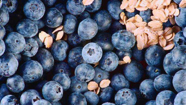 Bosch VitaPower Series 2 Recipe smoothie Blue Breakfast blueberries oats
