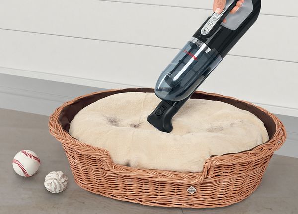 Eine Person entfernt mit einem ProAnimal Handstaubsauger Katzenhaare von einem Polster im Katzenkörbchen vor einer hellen Wand.