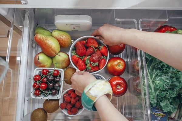 Bosch refrigerator drawer with fresh fruit