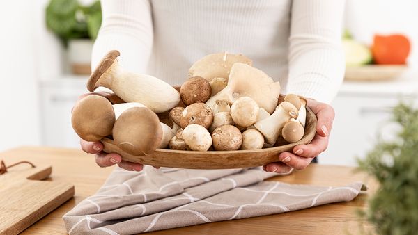 Ampia varietà di funghi disposti su un piatto.