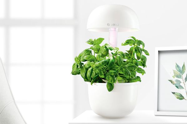 Bosch SmartGrow 3: compact indoor gardening option for growing 3 different types of plants