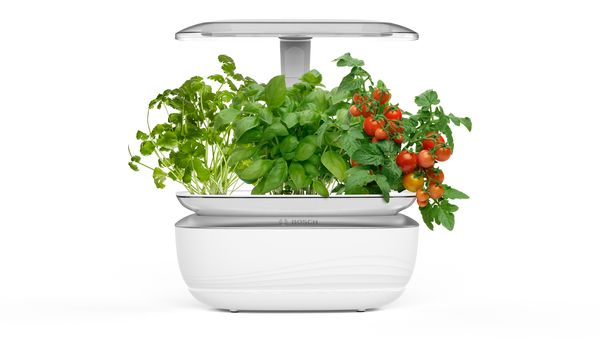 Bosch SmartGrow: uniqueness of tastes and styles of your indoor gardening