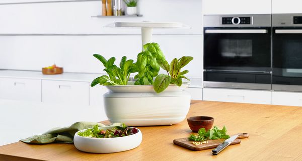 SmartGrow Life indoor garden on kitchen counter