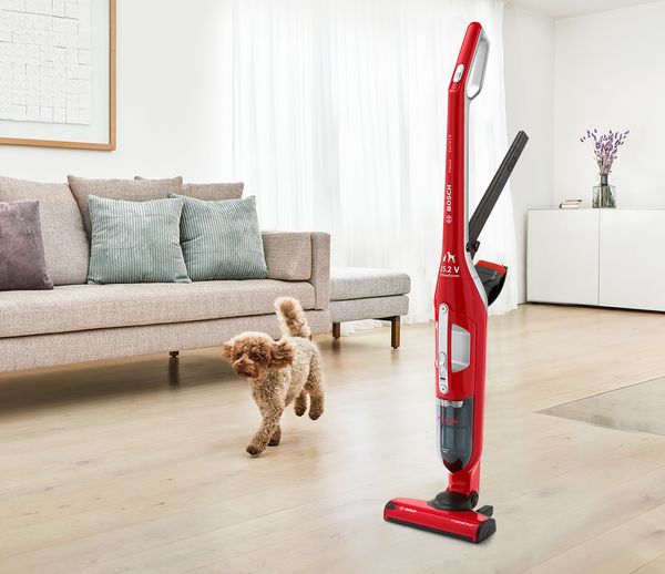 Ein Flexxo ProAnimal Akku-Staubsauger von Bosch steht neben einem Hund in einem sauberen Wohnzimmer.