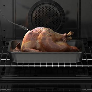 Meat probe within chicken
