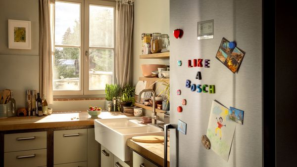Bosch fridge with magnets