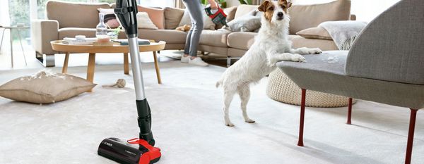 Philips Dry Vacuum Cleaner Clean Pet Hair Like a Breeze