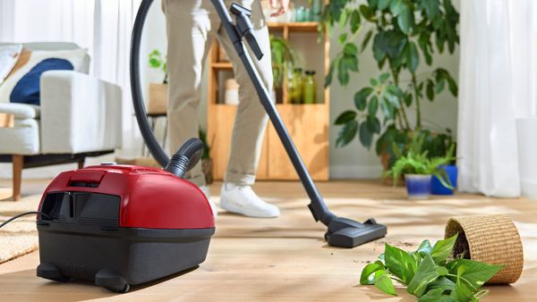 Vacuuming the room, there is a fallen houseplant and scattered soil on the floor.