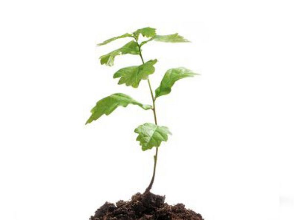 5 години гаранция за уреди за готвене, охлаждане и миене на съдове 