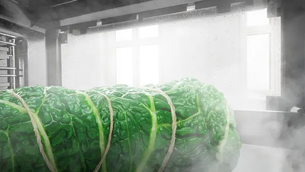 A parcel of kale leaves tied with string steaming in an oven.