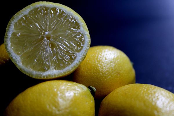Świeże cytryny, z których można przyrządzić domowy sok