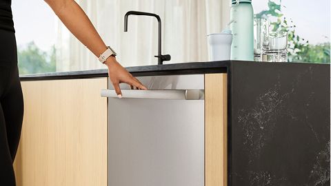 Bosch dishwasher cleaning and care