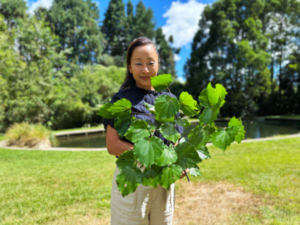 Sachie in Rotorua