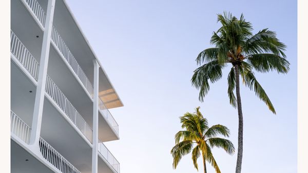 The view outside of Savage’s Ibis Isle condominium in golden hour