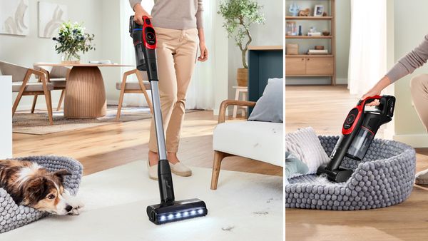 Eine Person benutzt einen kabellosen Staubsauger, um einen Teppich und ein Haustierbett in einem modernen, hellen Wohnzimmer zu reinigen.