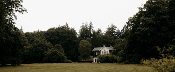 Within the Dutch Veluwe forests, a grand old hunting lodge positioned on the edge of a clearing