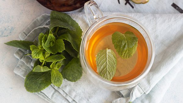 A steaming cup of mint tea with Echinacea, showcasing the vibrant green leaves and inviting aroma of the beverage.
