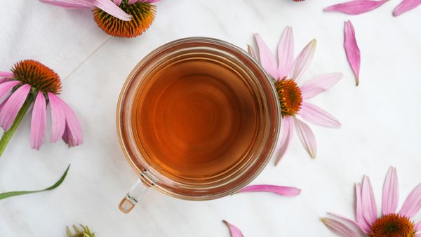 A steaming cup of Echinacea tea, surrounded by fresh Echinacea flowers, illustrating the tea-making process.