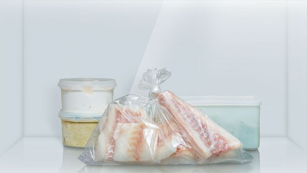 Sacchetto da freezer con pesce e contenitori ermetici con alimenti