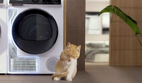 Eine rotgetigerte Katze sitzt neben einer modernen Waschmaschine.