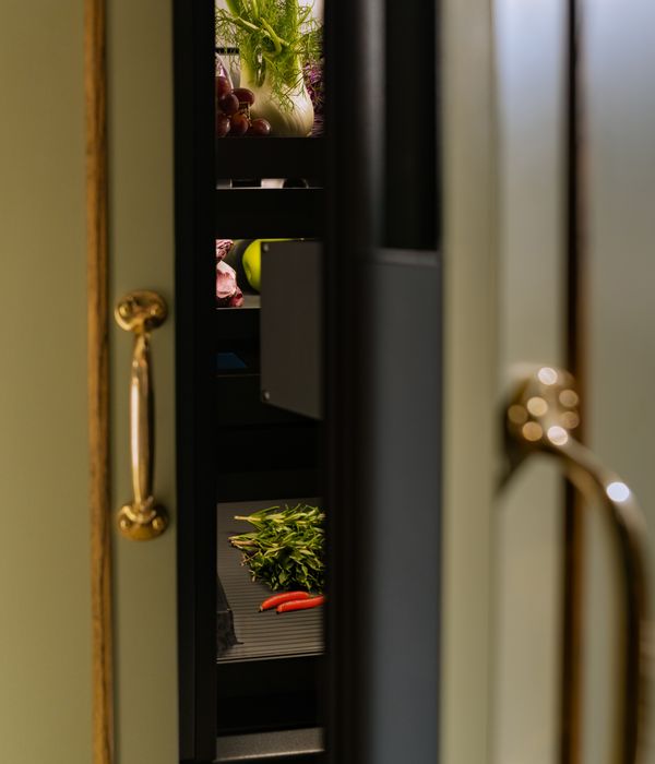 Green and gold door furniture opening revealing the Gaggenau Vario cooling Expressive series appliance contents 