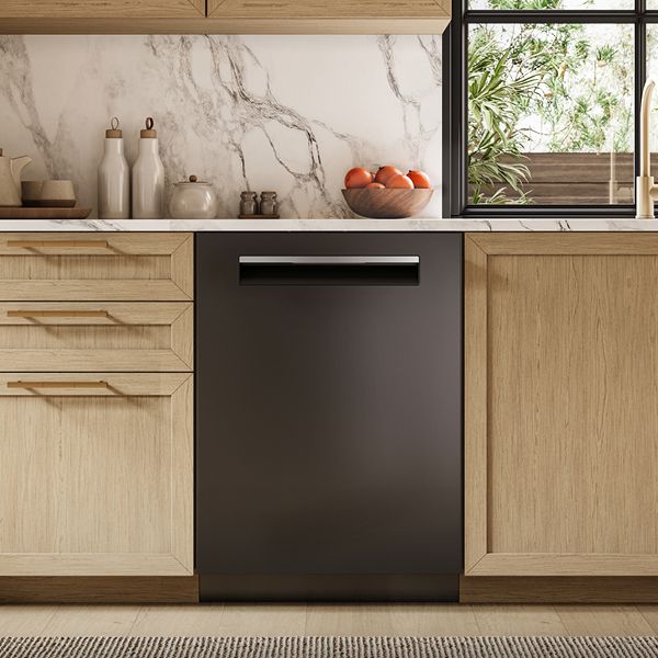 27023076_Bosch-RNA-ZW-Dishwasher-Blk-600x.jpg