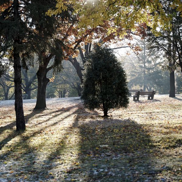 Exterior grounds.