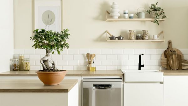 Kuchnia z drzewkiem bonsai na stole, symbolizującym długoletnią troskę i rozszerzoną gwarancję Bosch.