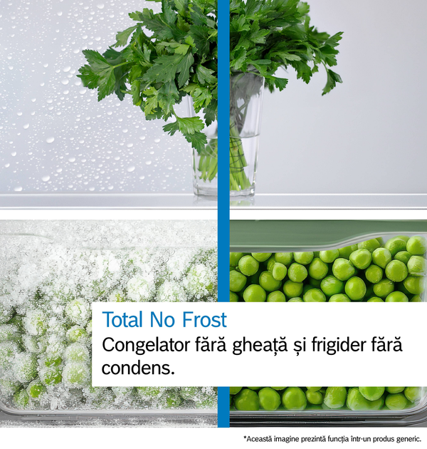 Comparatie intre congelator obisnuit si unul Total No Frost