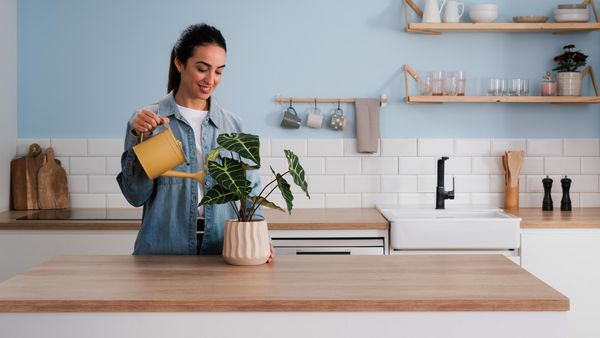 Mujer regando las plantas sobre una cocina abierta
