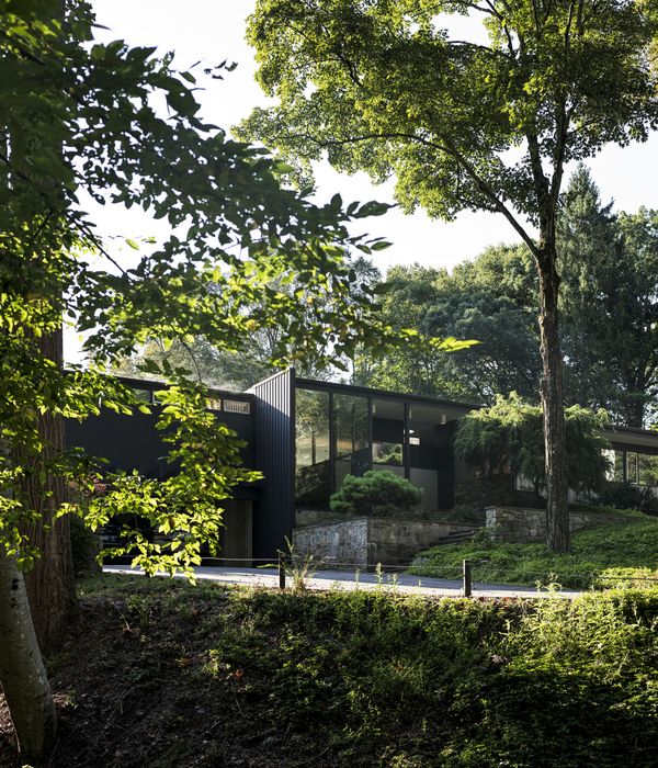 Wide angle external view of Corwin House in the sunshine showing how the house blends into its environment