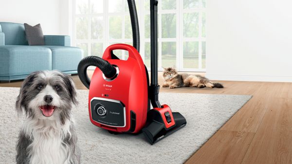 In einem Wohnzimmer sind ein rot-schwarzer Beutelstaubsauger von Bosch zu sehen, w&auml;hrend im Vordergrund ein Hund und im Hintergrund eine Katze entspannt im Raum verweilen.